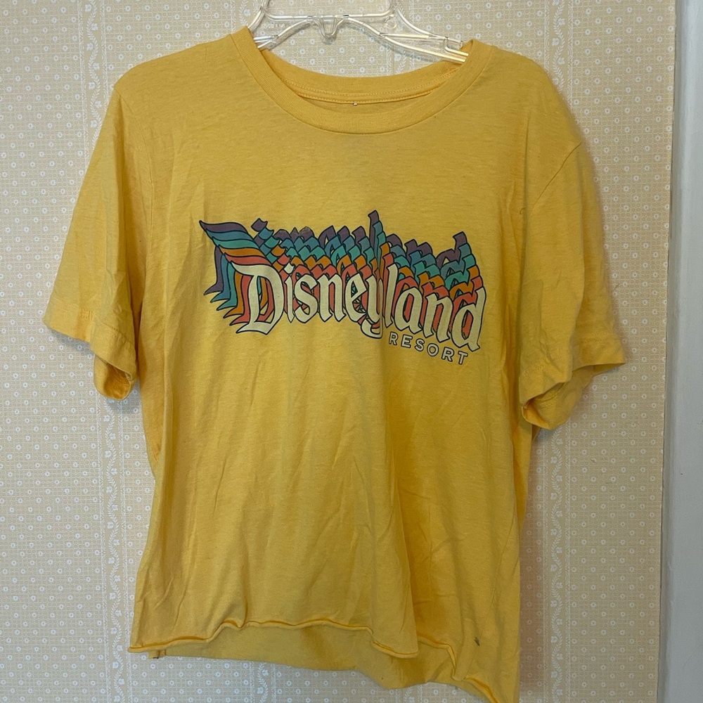 Cropped Disneyland t shirt